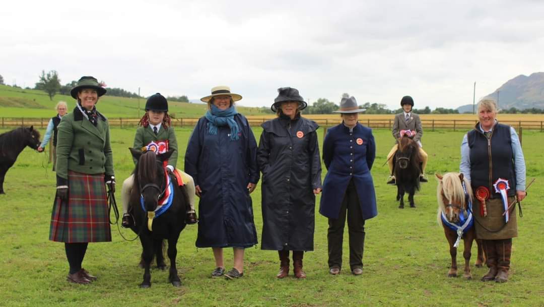 shetland pony news show result