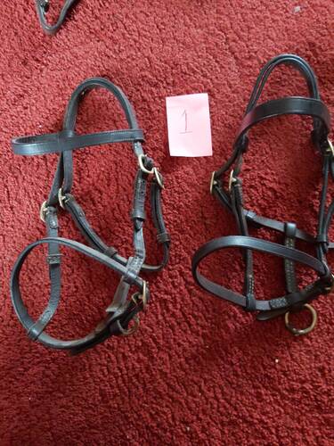 shetland pony tack for sale