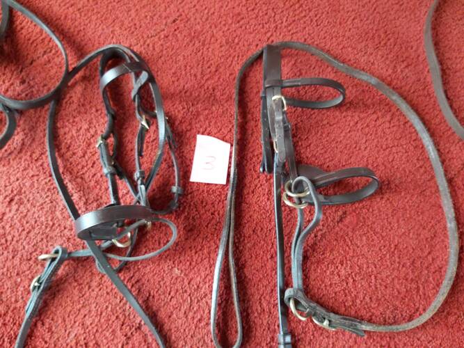 shetland pony tack