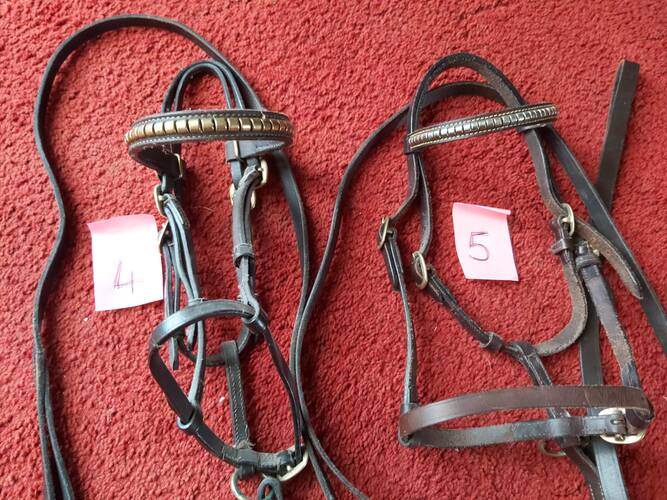 shetland tack for sale